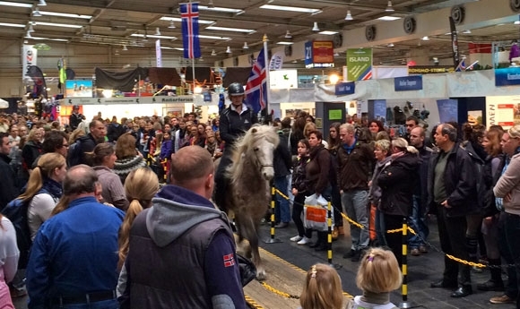 Finale einer gelungenen Pferd & Jagd: ‘Full House’ am SO