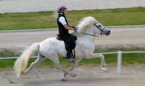 WMQ St. Radegund: P2-Gold an Carina/Ida, Marie packt V1