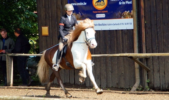 G’dyck: Engel toppt Dressur, V5 an Kentemich/Ripperda …