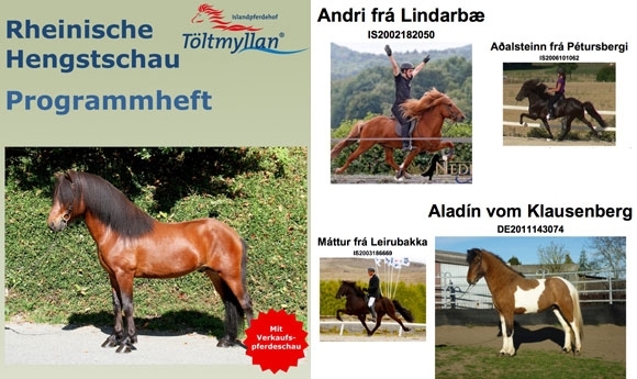 Heute ab 11: Fabelhaftes Schauprogramm auf Töltmyllan