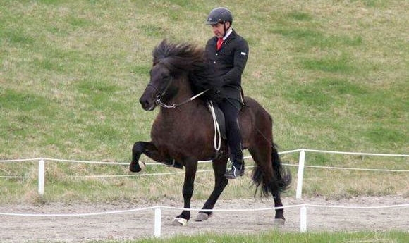 Reynir frá Reykjavík: M’hof-Jockey dominiert auch T2/PP1