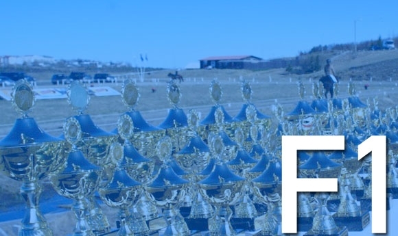 Reykjavíkurmeistaramót: Ergebnisse vom Fünfgang