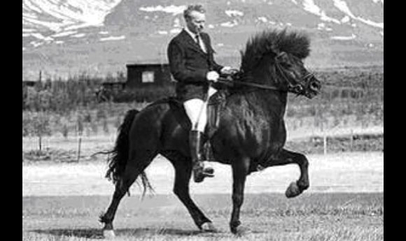 Tränenreiche Zeit: Safir frá Viðvík von uns gegangen