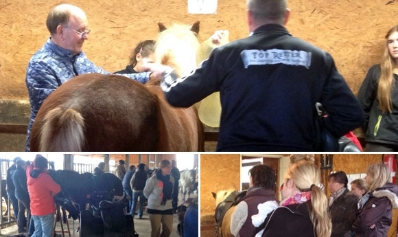 Spannendes Sattelseminar mit Kóki auf Hof Landefeld