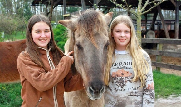 Schulpferd des Jahres: Emma und Luisa stellen ‘Mósi’ vor