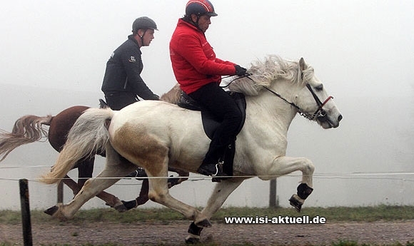 Semriach: P3 an Reiter, Tropper/Nimmrichter gewinnen T2
