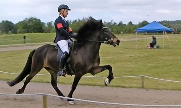 ISICUP: Dennis Hedebo, Annika Skrubbeltrang etc. ins AF