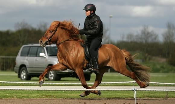 FIZO Herning: Rock’n’Roll bei Slippen und Pegasus