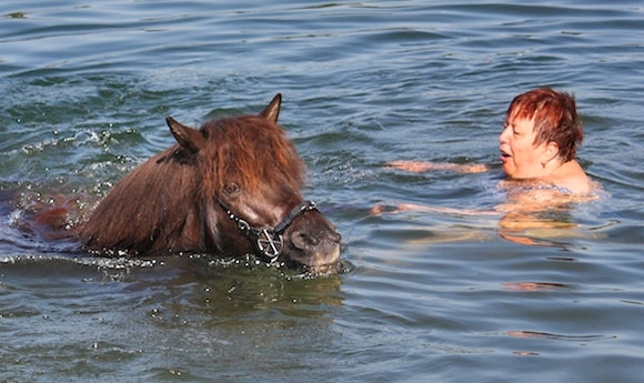 Sommer-Fotos 2014: Hier kommt das erste Leser-Album