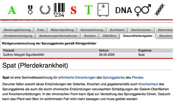 Warnung an Züchter: Spat-Hengste sollten tabu sein!