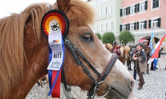 WM-Stafette unterwegs: Von Radegund nach Tittmoning