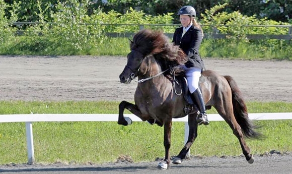 WMQ NO: Haugen/Lundhaug/Rønnestad/Hagelund im AF