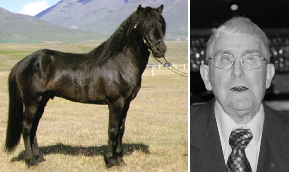Eine Legende geht: Trauer um Sveinn Guðmundsson