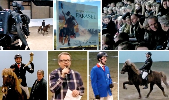 Mal was Neues: Video-Nachlese vom Töltfimi im Fákasel