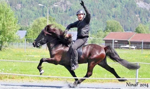 FIZO Seljord: Ísold, Vilja und Rönd die Top-Prüflinge