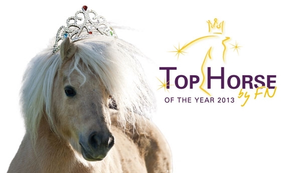 Foto-Wettbewerb: FN sucht ‘Top Horse of the Year 2013’