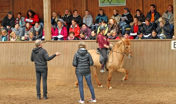Tölt in Harmony: Lehrreiches Seminar am Wiesenhof / Vid.