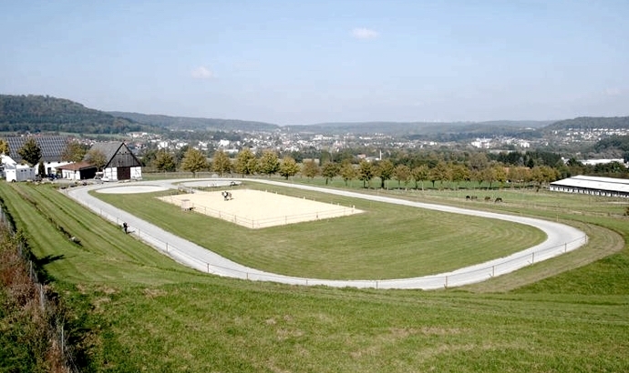 Trappistenhof: Dohm, Förster, Henrich im Tölt top