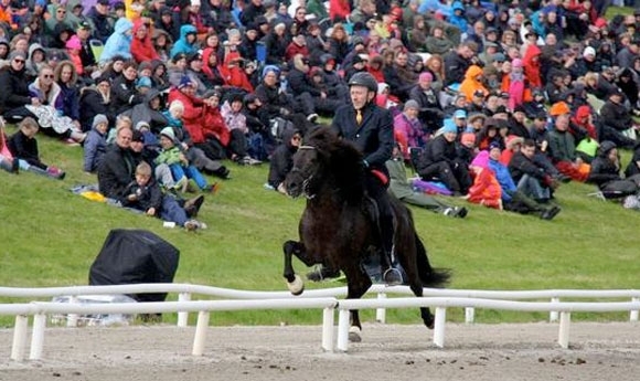 Landsmót: Finaltickets für Trymbill, Klerkur und Þytur