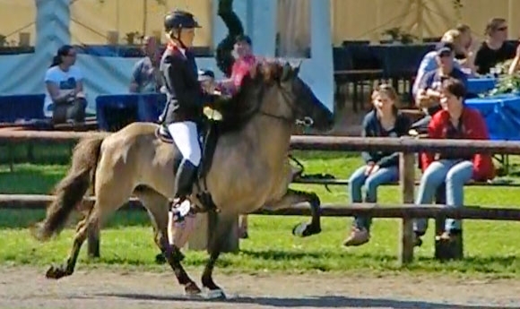 WittCup: Harmonisch-sonnige Futurity zu Turnierbeginn
