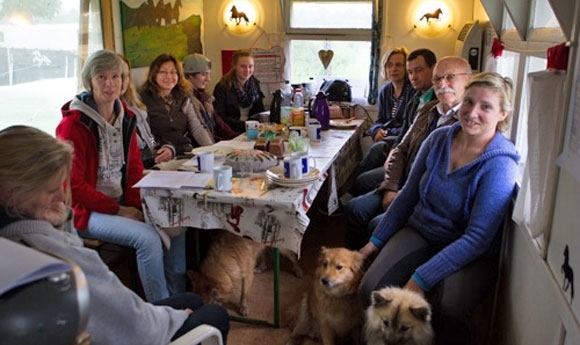 Bühne frei für Islandhunde: Show auf Ellenbach/Kronshof