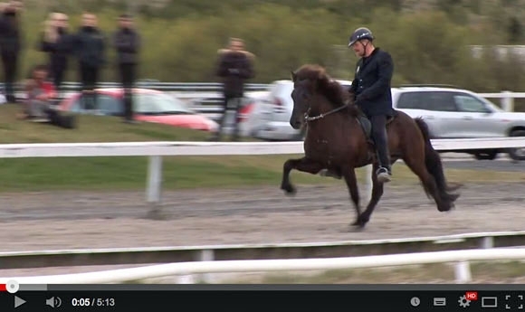 FIZO Hafnarfjörður: Video-Highlights von Arion & Sjóður