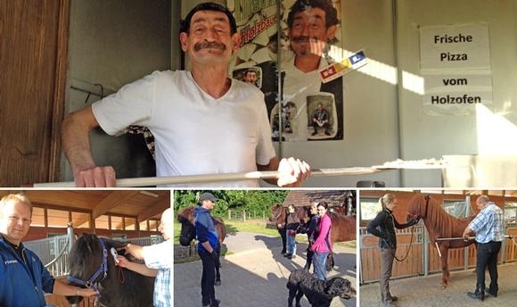 FIZO Vorsenzhof: Bauer sucht Tölt … Prüfung läuft