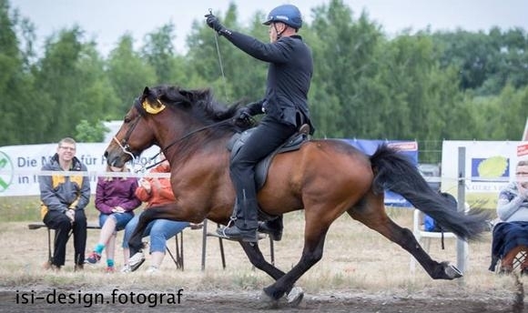OSI Wieckenberg: Nachlese in Fotos & Bewegtbildern