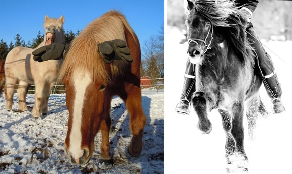 Und noch mehr tolle Winterfotos – herzlichen Dank!