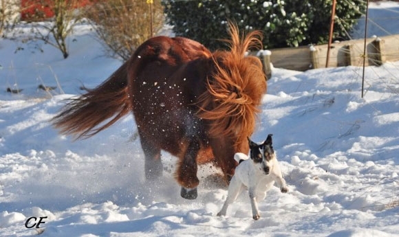 Coole Winterfotos: macht bitte mit und mailt Eure Motive