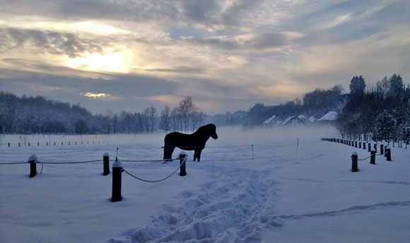 Letztes Kapitel im Winteralbum – Zeit für den Frühling!