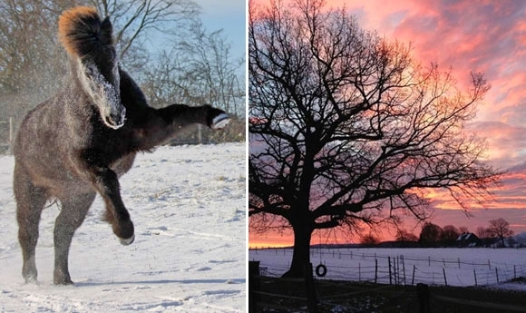 40 neue Winterfotos – sendet bitte weitere schöne Motive
