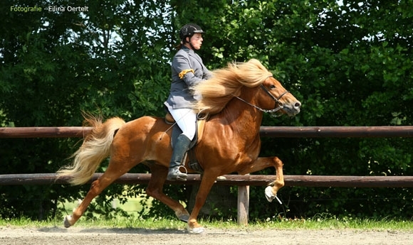 WittCup Schwanewede auch 2013 wieder ein Freudenfest
