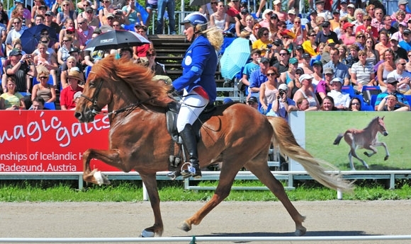 WM live: Hulda gewinnt V1 B-Finale / Video