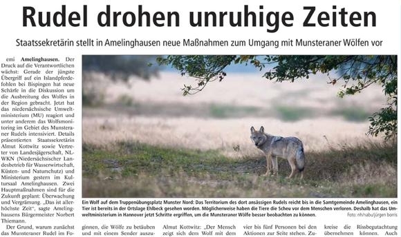 Leserbrief zum Wolf: Brauchen sachl. Diskussion