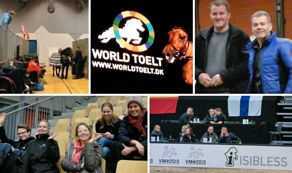 Odense startklar: WorldTölt 2014 startet am FR um 8