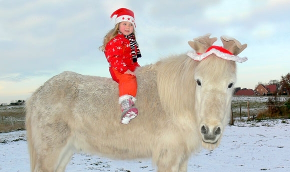 Macht mit, teilt Eure schönsten Weihnachts-Impressionen