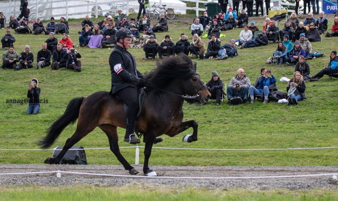 LM: Kári og Þytur sigruðu B-úrslitin