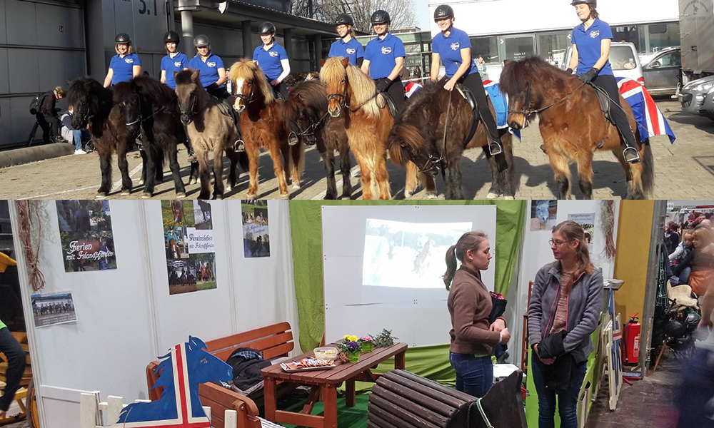 Partner Pferd: Islandpferde verzaubern Leipziger Publikum