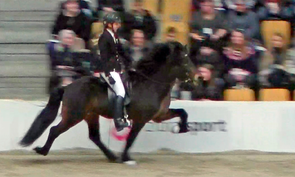 WorldTölt live: Frauke, Lisa und Julie toppen T2