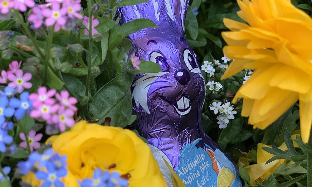 Frohe Ostern und alles Gute für eine tolle Saison 2019