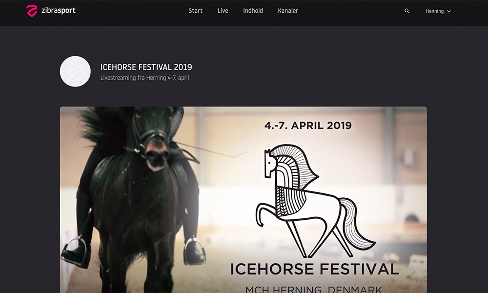Icehorse Festival: Start um 8, Live-Stream verfügbar