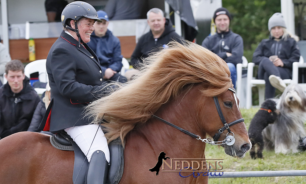 Lingen: Jolly toppt Viergang vor Karly und Cathi