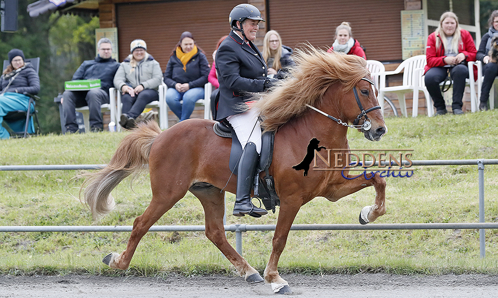 Lingen: Jolly dominiert T2, Dörte & Nils auf 2 & 3