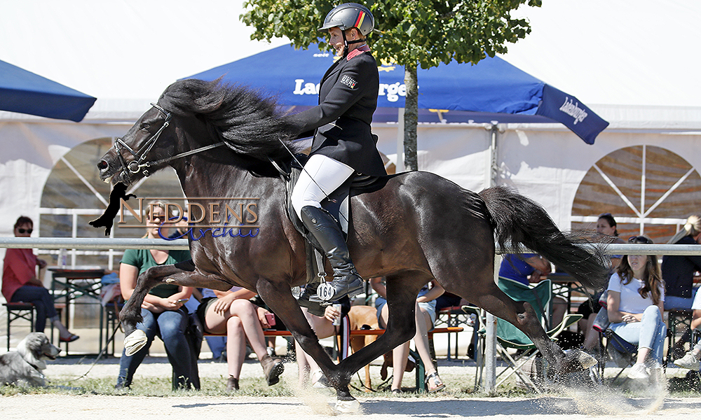 DIM-F1: Silke und Heinz ex-aequo an der Spitze