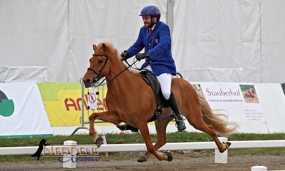 WM: 8,88er Gänge bei Elja, Óðinn bester Hengst 7j.+