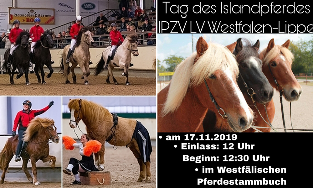 Tag des Islandpferdes am 17.11. ab 12 in MS-Handorf