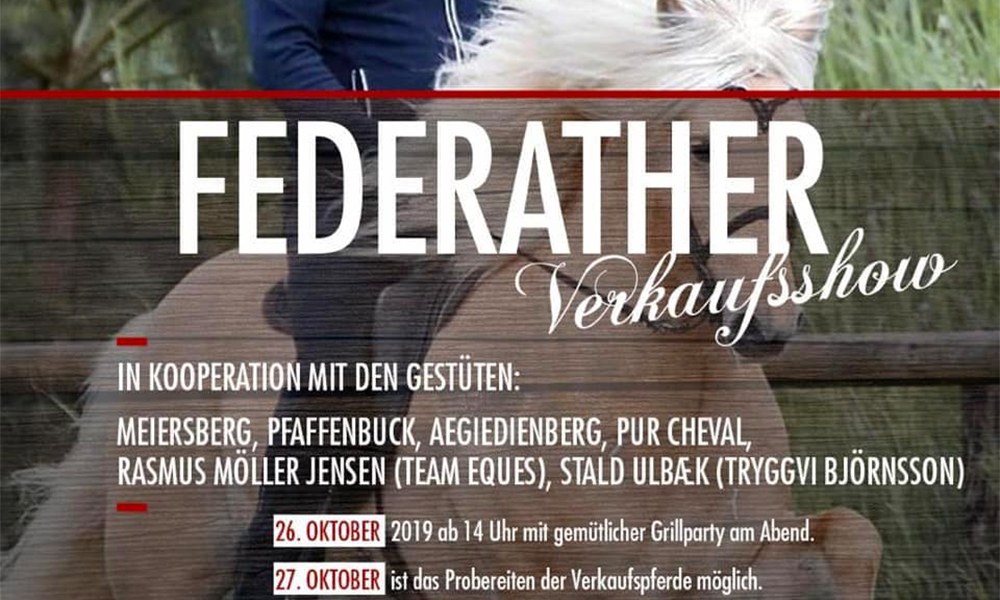 Verkaufspferdeshow am 26.10. ab 14h auf Federath