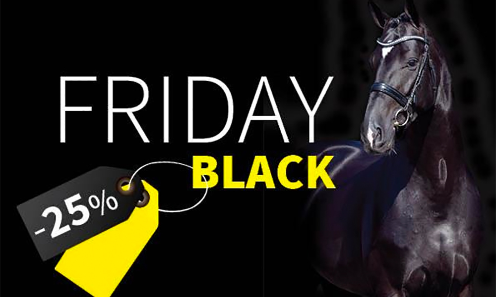 Blue Hors mit 20 Prozent Black-Friday-Rabatt