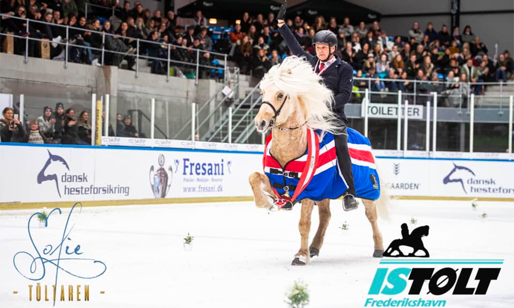 Jóhann, Stymmi & Þórður gewinnen Gold beim Istølt